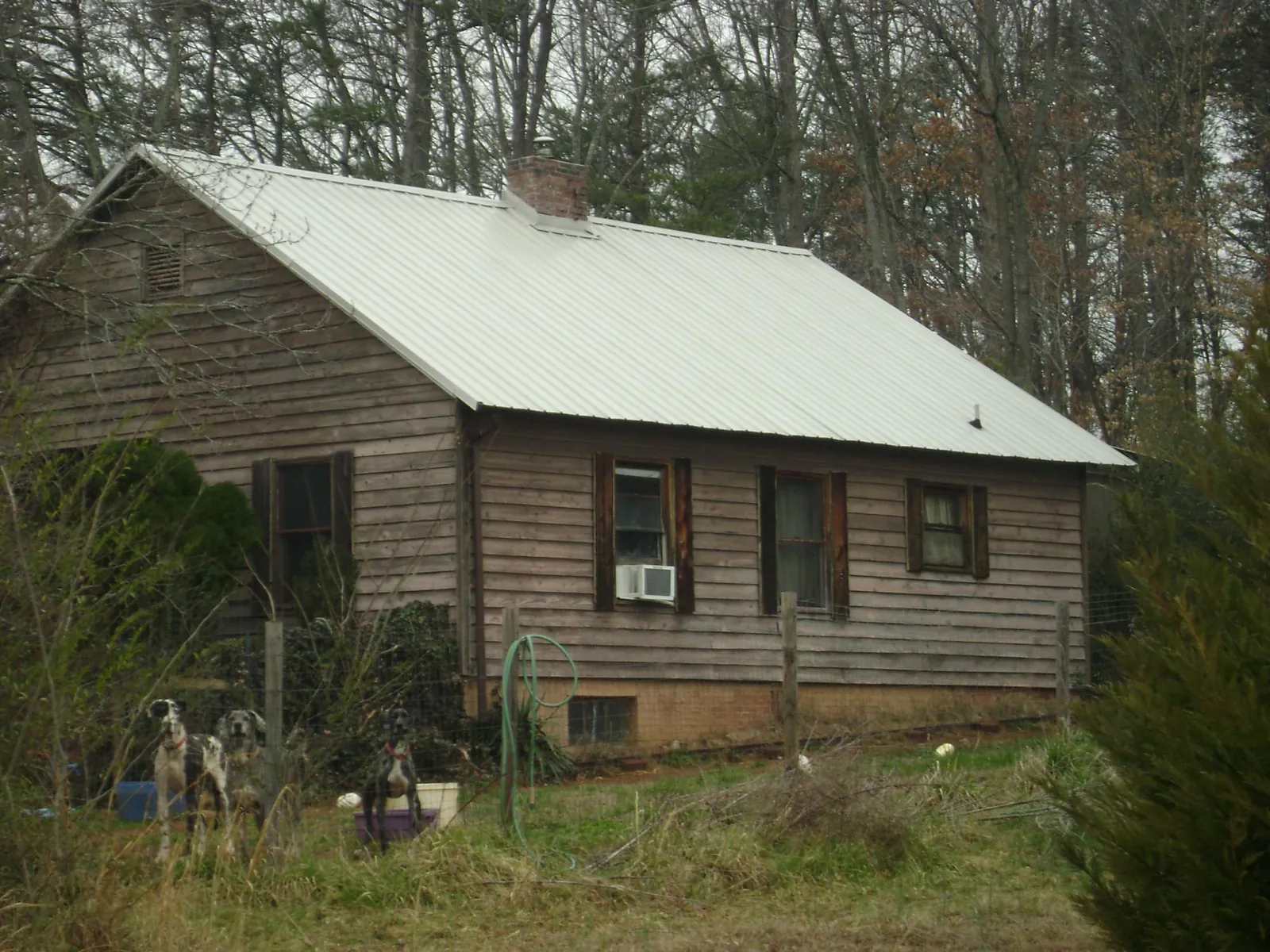 White metal roof on an old wood sided farmhouse, from a Metal Roof Installation job in Mashpee